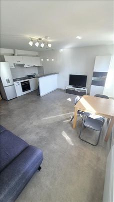 1 pièce - Meublé - 46,72 m² - 1er étage - Colocation non autorisée - Photo 1