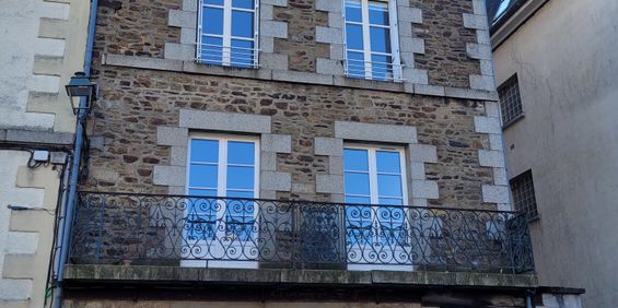 Location Appartement 1 pièce 29m² FOUGERES 35300 - Photo 3