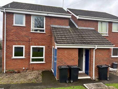 Bisell Way, Brierley Hill, DY5 2RZ - Photo 4