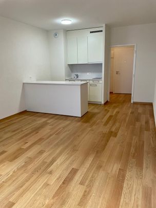 Au coeur des Eaux-Vives - Photo 1