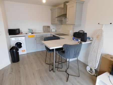 Unit 4, 15b Castle Street, Omagh, BT78 1DD - Photo 5