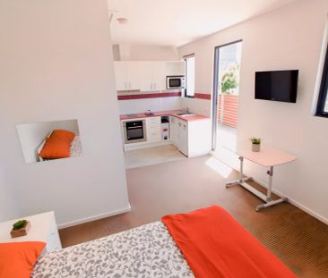 Large Studio - Photo 4