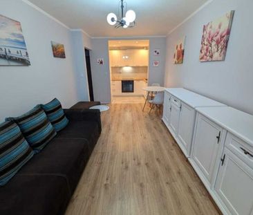 Mieszkanie wynajem Gorzów, os. Dolinki, 2 pokoje, 38 m - Photo 3