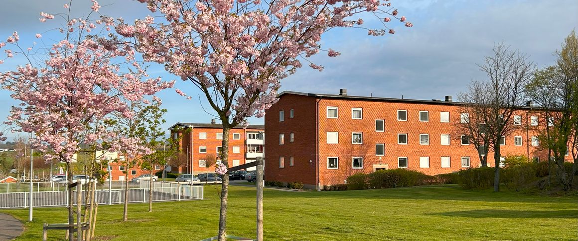 Landstingsgatan, Simrishamn - Photo 1