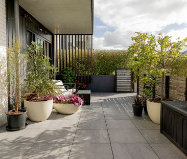 2 Bed 2 Bath Apartment in Hobsonville Point - Photo 4