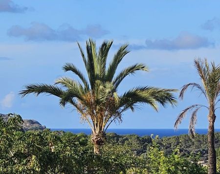 Av. Juan Carlos I, 26, Capdepera, Balearic Islands 07580 - Photo 5