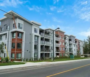 Sandscapes Apartments | 155 Moilliet Street, Parksville - Photo 1