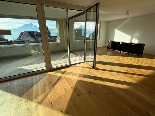 4.5 Zimmer, 143 m², 2. Stock - Foto 1