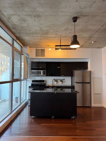 For Lease - 179 GEORGE Street Unit# 1004, Lower Town - Sandy Hill, Ontario - Photo 3