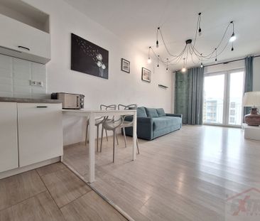 Wynajmę jasne 2 pokoje z balkonem, 2018 r, winda (434325) - Zdjęcie 1