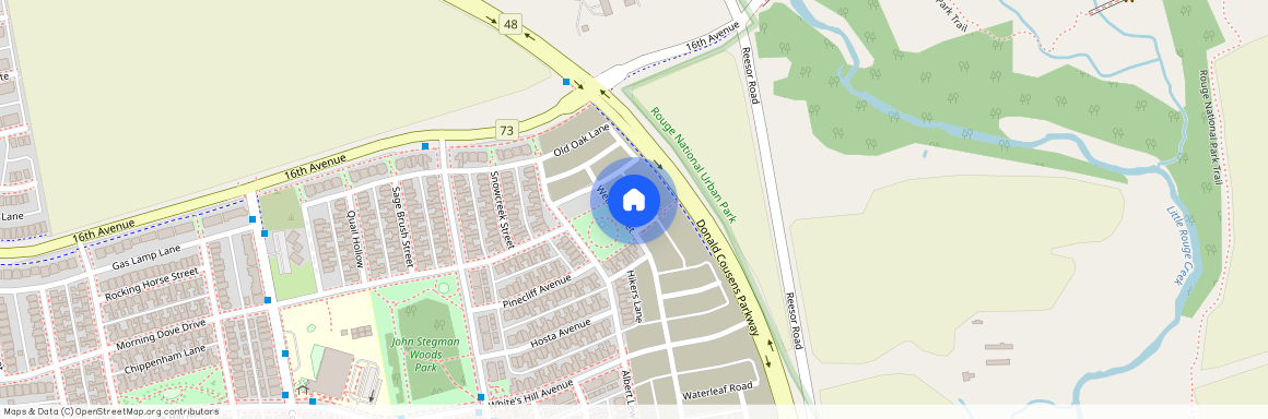 225 Webb Street Unit# BASEMENT, Markham