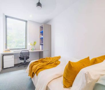 1 Bedroom Studio Premium - Photo 3