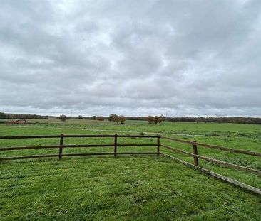 The Bungalow, Water End Lane, Old Basing, Basingstoke, RG24 - Photo 6