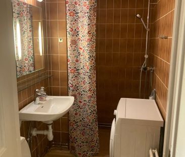 Björnen Renen, Åre - Foto 5