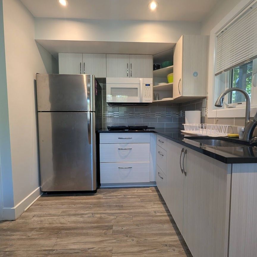 For Lease - 222 Blackburn Avenue Unit# B, Lower Town - Sandy Hill, Ontario - Photo 1