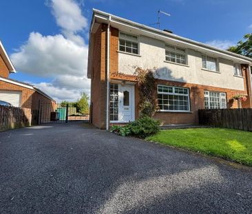 13 Old Moira Road, Upper Ballinderry, BT28 2JW - Photo 6