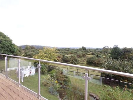 Frogham, New Forest. - Photo 3