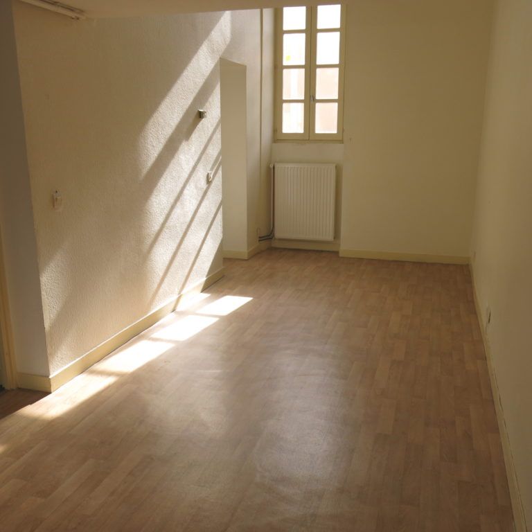 LOCATION APPARTEMENT T3, POITIERS, CENTRE-VILLE - Photo 1