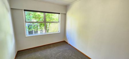Unit 2, 9A George Street, Vogeltown, New Plymouth - Photo 3