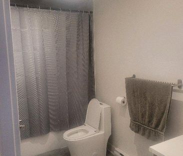 3 1/2 ***Libre Immédiatement*** - Photo 3