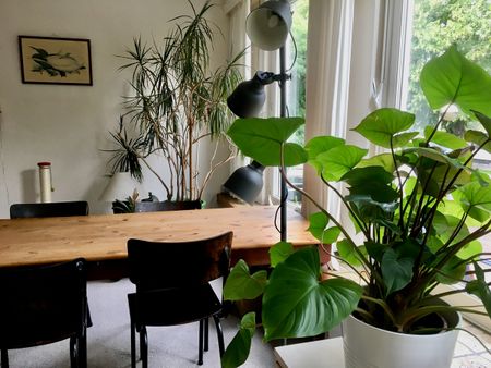 Kamer in sfeervol huis aan rustige grote tuin. Deurne Zuid. - Foto 5