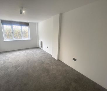 Traice Road - Photo 5