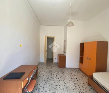 5 locali in affitto - Foto 3