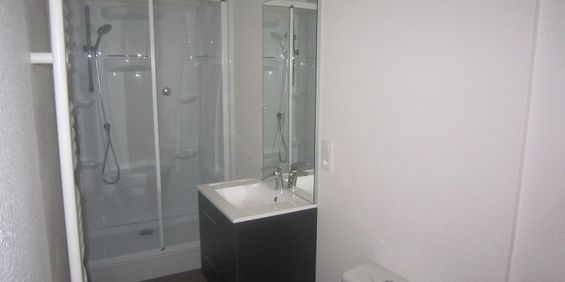 Location Appartement 1 pièce 35m² CHARLIEU 42190 - Photo 3