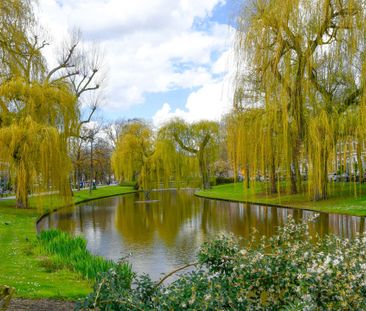 Spoorsingel, 55, A, 3033GH, Rotterdam - Foto 3