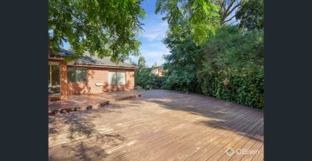 Luxurious Leonard - Photo 4