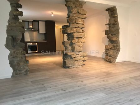 MAGNIFIQUE 2½ PIECES AVEC TERRASSE - Photo 5