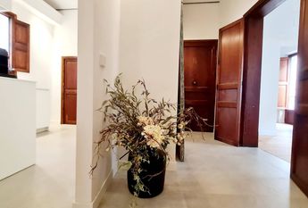 18 Carrer de Mateu Enric Lladó, Palma de Mallorca, Balearic Islands 07002