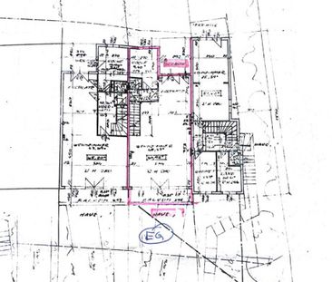 Wohnen im Grünen: Familienidylle direkt an der AIS Vienna - Photo 4