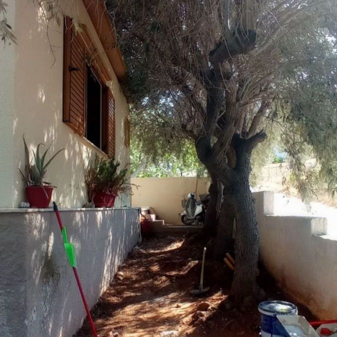 Μονοκατοικία για ενοικίαση Κακιά Θάλασσα (Κερατέα) - Photo 1