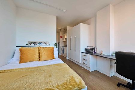 Studio Silver - Photo 3