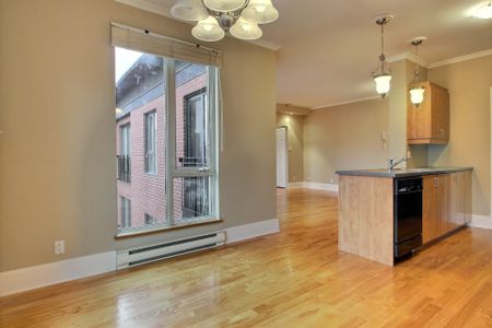 Condo for rent, Montréal (Ville-Marie) - Photo 5