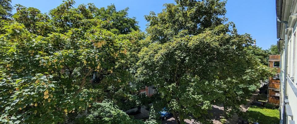 ++ charmante, neue 2-Raum Wohnung mit großem Wohnbereich - im beschaulichen Hilbersdorf ++ - Photo 1