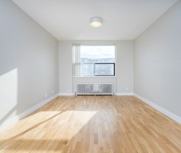 25 Eccleston Drive - Photo 6