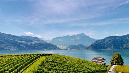 Traumhaftes Einfamilienhaus über dem Vierwaldstättersee - Foto 5