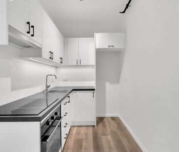 Stunning Completely Renovated Studio - Photo 4