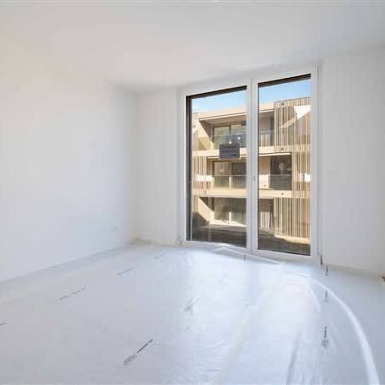 3.5 Zimmer, EG - Photo 1