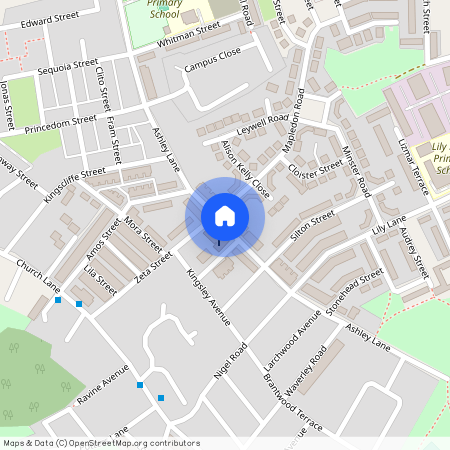 Ashley Lane, Manchester