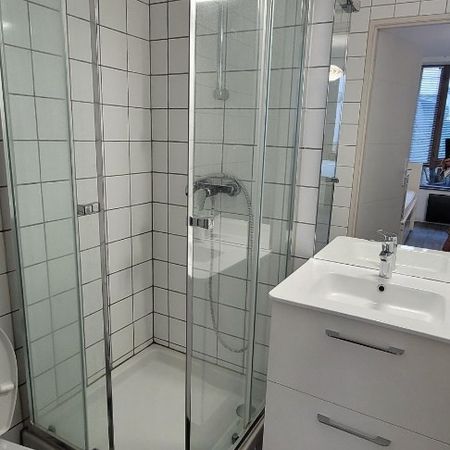 Location Appartement 1 pièce 17m² ST OMER 62500 - Photo 4