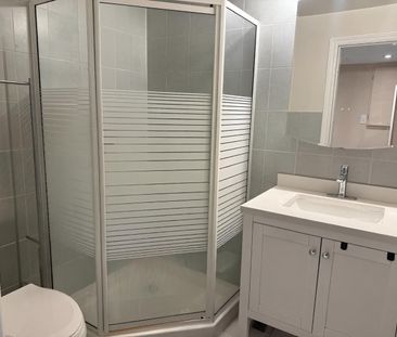 For Lease - 249 Lucas Street Unit# Lower, Richmond Hill, Ontario - Photo 3