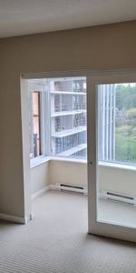 1 Bedroom 1 Bathroom in Downtown New Westminster - Photo 4