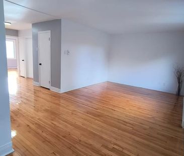 6644 Av. McLynn - Photo 1