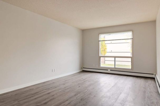 Premier Suite - 1 Bedroom - Photo 1