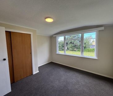 Renovated Gonville home - Photo 5
