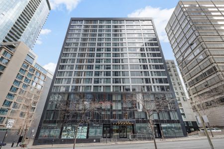Condo for rent, Montréal (Ville-Marie) - Photo 3