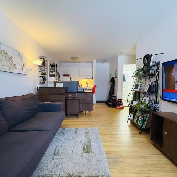 Appartement 3 ½ à louer Sainte-Foy / Sillery juillet 2026 - Photo 1